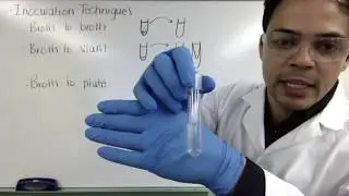 Growth Patterns on Broth, Slant, & Streak Plates