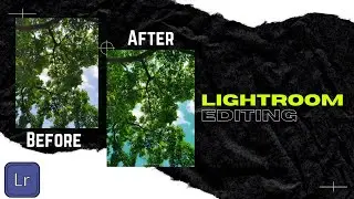 Green Tree Editing | Lightroom Mobile Editing |Nature Photography | #leaf #lightroomedit #lightroom