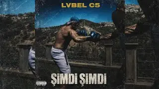 Şimdi-şimdi Şimdi mi? Şimdi (Vodka Vodka, Beluga)- Lvbel C5 I MS MEDIA MSC #tiktok #lvbelc5