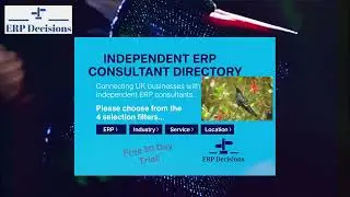 How ERP Consultants Get More Clients in 2025