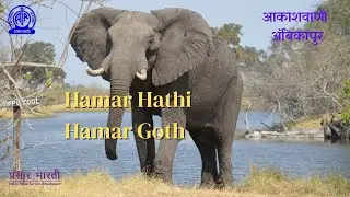 HAMAR HATHI HAMAR GAOTH 24-10-2021