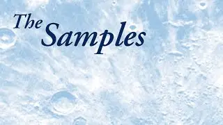 The Samples - Who Am I