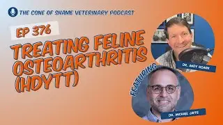 376 - Treating Feline Osteoarthritis (HDYTT)