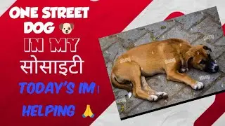 #wildlife #viralvideo #animals  नील गया।  पल्ले बार। देके। हमा। दिल्ली। ma