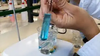 Prueba de Benedict Carbohidratos