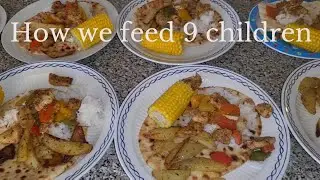 Meals of the week for a family of 11 and £50 poundland haul.