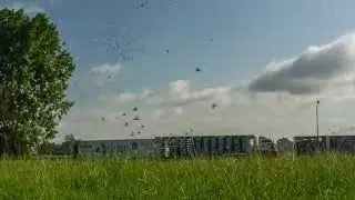 Intro PigeonPixels 2 - Lossing-liberation Ravenstein 2014