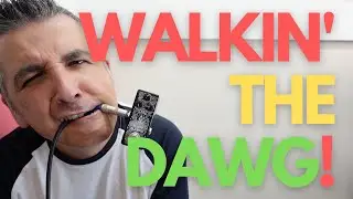 MXR RAW DAWG OVERDRIVE - FIRST IMPRESSIONS