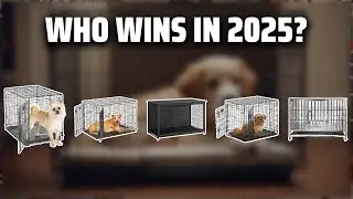 The Top 5 Best Dog Crate Divider in 2025 - Must Watch Before Buying!