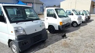 NEW ARRIVAL  VERY GOOD MINI TRUCKS 