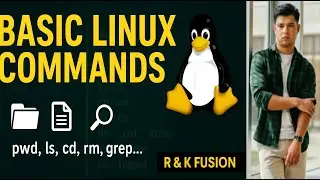 Basic Linux Commands Explained | pwd, ls, cd, mkdir, rm, cat, echo, grep, chmod & More  R & K Fusion