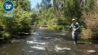 Dry Dropper Fishing For Wild Trout
