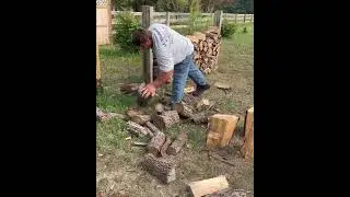Meet Jeff Dabe the Real-Life Popeye with Superhuman Strength. #tiktok #shorts #viral #armwrestling