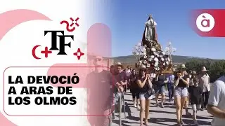 La bellesa de la música i la devoció, a Aras de los Olmos