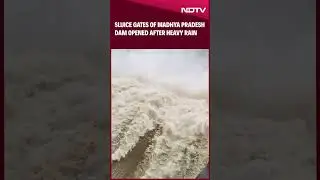 Sluice Gates Of Madhya Pradesh Dam Opened After Heavy Rain