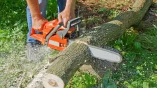 Tree Services Rancho Cordova, CA. First Call Tree Services