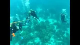 Bonaire Tightrope