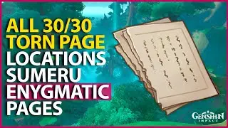 All 30 Torn Page A Thousand Nights in Sumeru Desert (Enigmatic Pages) Genshin Impact 3.1