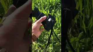 #ourworld #viral