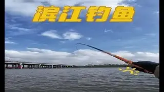 风浪越大钓鱼越刺激，就像开盲盒一样，永远猜不到下一杆是什么鱼 #钓鱼技巧