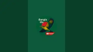 Bangla life is live!