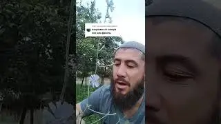 кахроман от сахара лое или фасоль #казахстан #таджикистан #кыргызстан #новости #россия #shorts