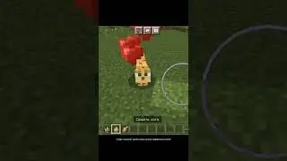3 Факта об оцелотах в Майнкрафт #shorts #рекомендации #minecraft #оцелот