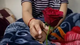 Aaj gulab ka full dena pada mahga😝😝