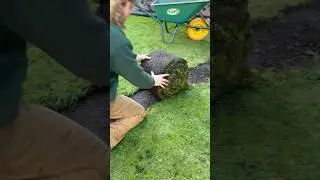 Rolling Up Some Grass #landscaper