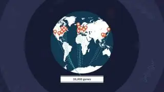 IMPC Overview