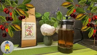 Fermenting Cherry or Sour Cherry for Tea by Freezing
