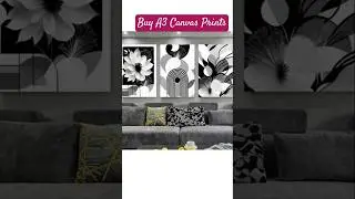 Mybudgetart.com.au I Buy A3 Canvas prints I Art I Decor #viral #shorts #shortsvideo