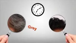 Remove grey hair in 10 minutes - Use BSY Noni BlackHair Magic