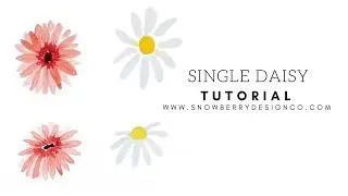 How to Paint a Single Daisy | BEGINNER WATERCOLOR TUTORIAL