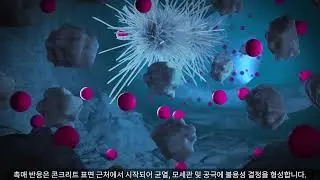 Xypex Technology - Korean Subtitles