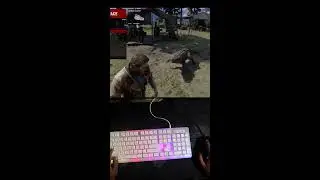 Best Mods In RDR 2 Vertical Live