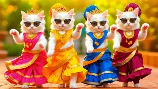 बिल्ली डांस | Cutest Cat videos funny dance🤣💃Dance Videos for cats #funny #dancingcat #cat #cute