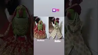 This Parrot Wedding Wins the Internet! | Dulha-Dulhan Bird Couple #like#comment #share