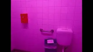 Bad Bunny x Sech - Ignorantes, pero estas en el baño en una fiesta.