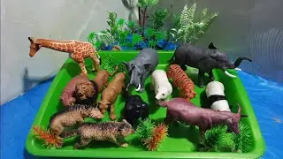 Wild Animal Toys Collection | Jungle Safari Playset for Kids  