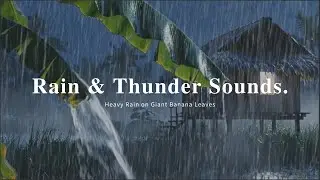 ASMR Thunder & Heavy Rain | Sleep Sounds on Giant Banana Leaves | Insomnia White Noise