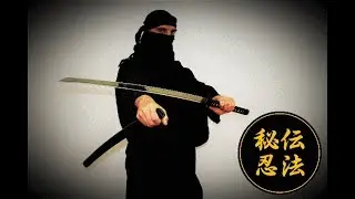 Ninja Blendeblitz