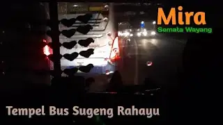 IBU IBU SAMPAI TERIAK SAKING KENCENGNYA BUS MIRA JAWA TIMUR ‼️