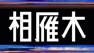 プロ棋士が「相雁木」の最新型を解説します