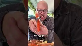 63 евро, я попробовал ЛУЧШИЙ в мире ШВЕДСКИЙ СТОЛ #буфет #allyoucaneat #foodie #франция