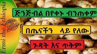 በየቀኑ ጅንጅብል የምንጠቀም ከሆነ በጤናችን ላይ የለውን ጉዳት እና ጥቅም /Ginger  Health Benefits & Side-Effects