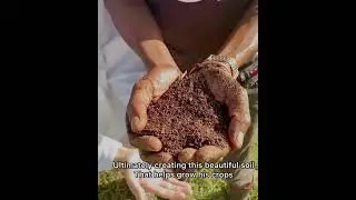 Turning waste into soil-full GOLD