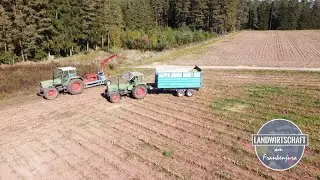 Fendt Favorit 615ls mit Mengele SH40N am Mais und Gras häckseln *Favorit 610, Farmer 309ci*
