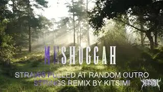 Meshuggah - Straws Pulled at Random Outro | Orchestral Strings Cover/Remix
