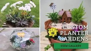 Landscape Design 19403